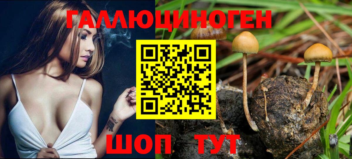 Галлюциногенные грибы Cubensis Дедовск